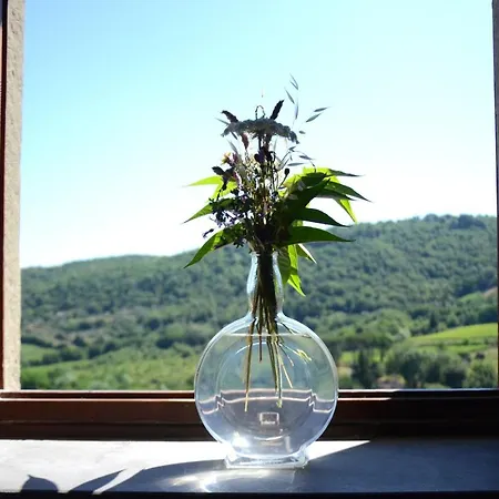 Villa Chianti, Toscane: Avec Vue Lucolena in Chianti